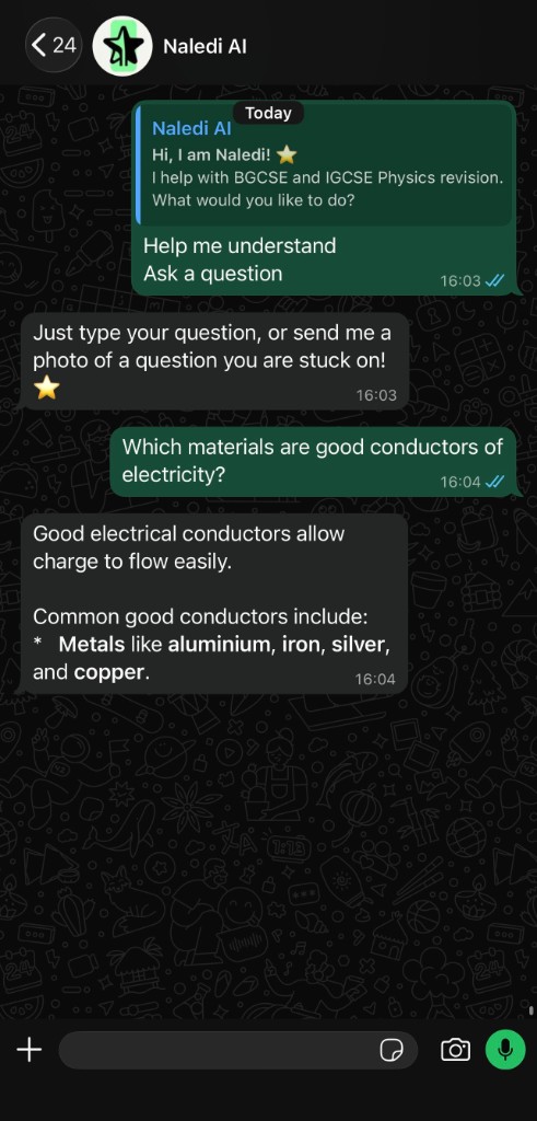 WhatsApp chat where Naledi explains electrical conductors